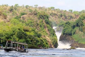 4-days-murchison-falls-safari-chimps-rhinos