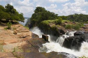 6 Days Kidpeo Valley and Murchison Falls wildlife safari, Uganda tour