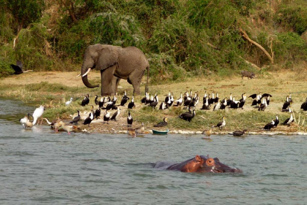 kazinga-channel