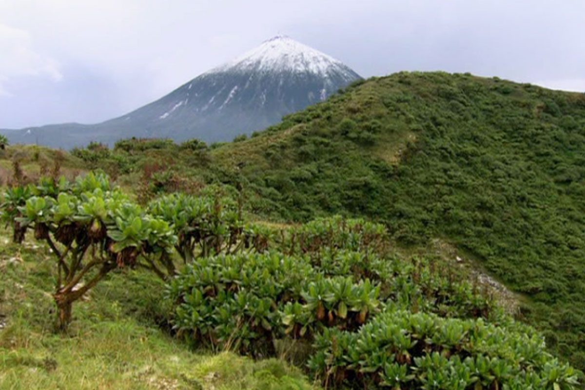 hiking-mount-karisimbi