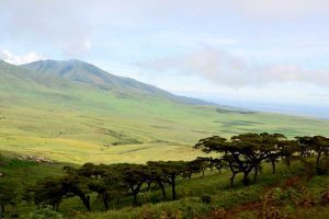 mount-sabinyo-volacano-hiking