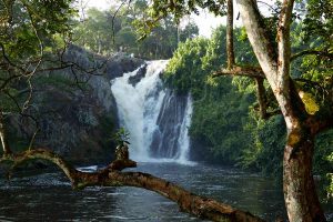 1-day-jinja-tour-and-sezibwa-falls-visit