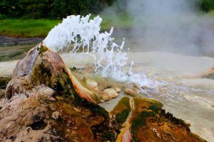 3-days-kibale-chimpanzees-bigodi-wetland-and-semliki-hot-springs-tour