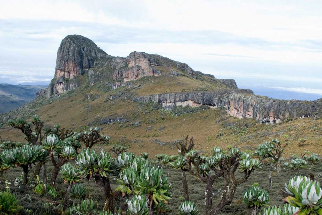 mount-elgon-national-park