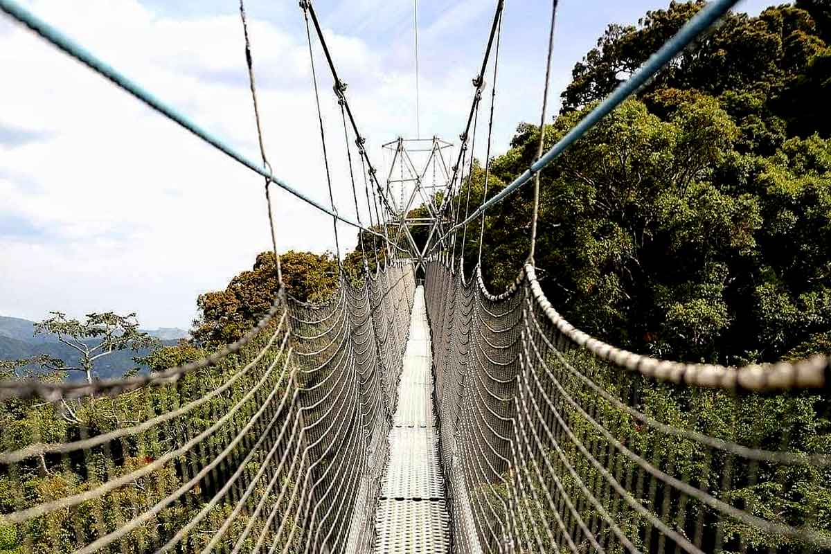 nyungwe-forest-national-park