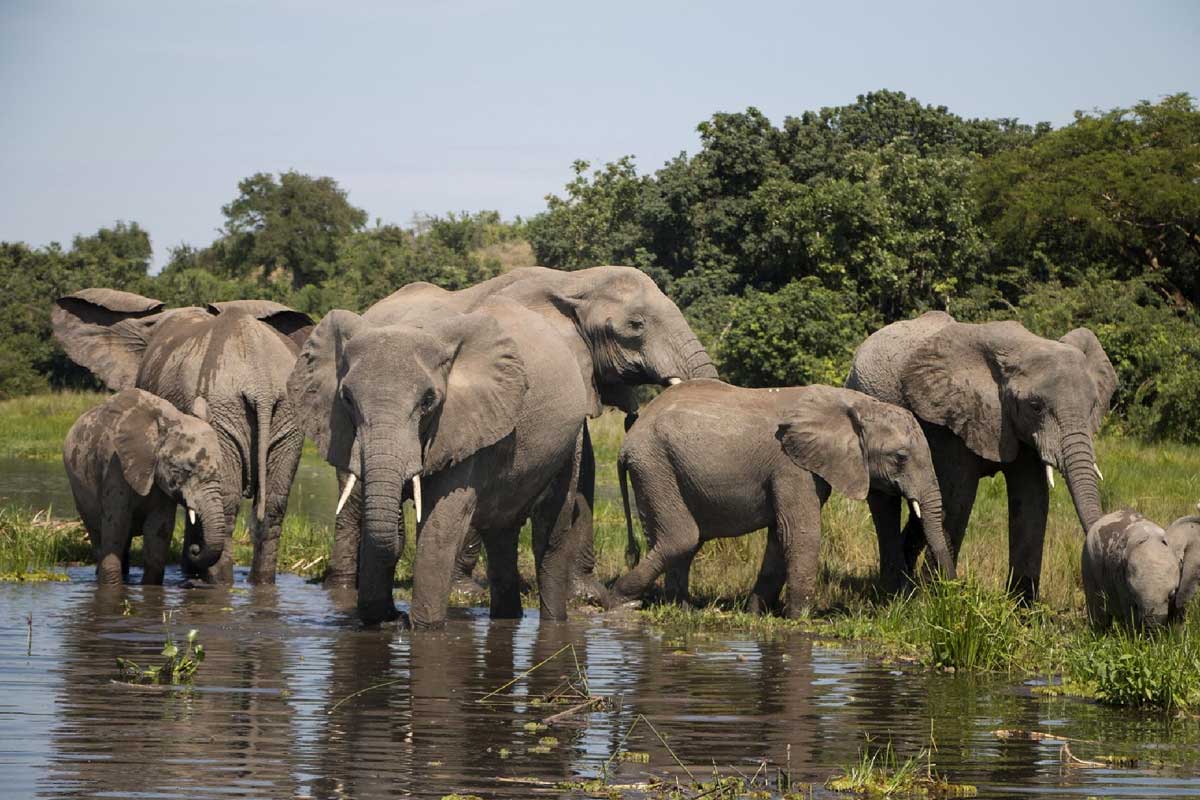 tsavo-national-park